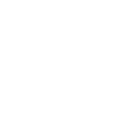 Canine Sense dog training