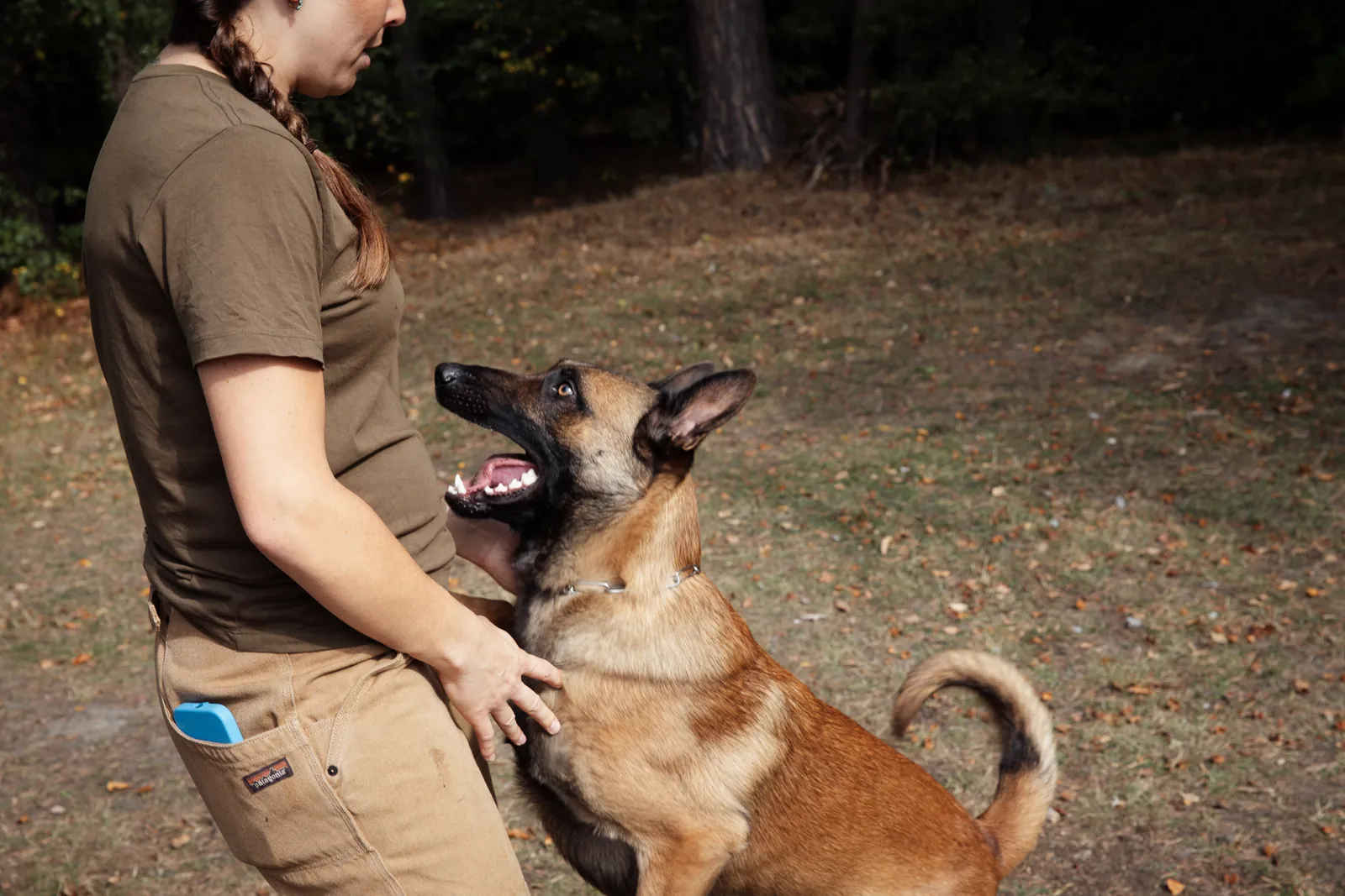 A dog looking up at Flurina during a training game outdoors