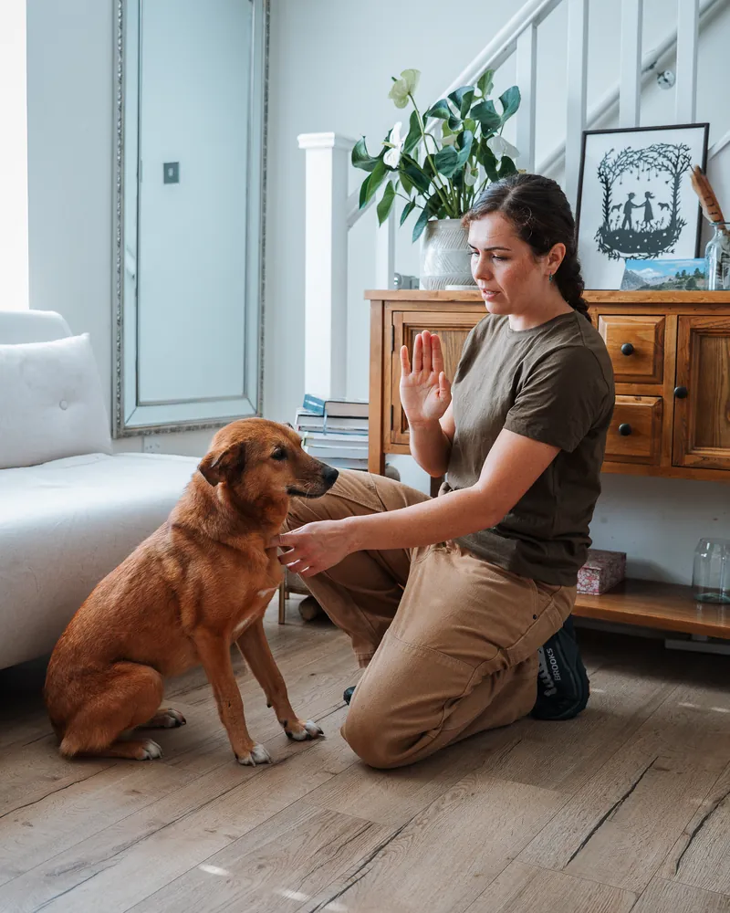Flurina giving a hand signal to a dog sitting in a living room